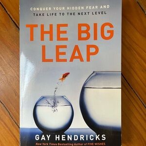 The Big Leap by Gay Hendricks Book